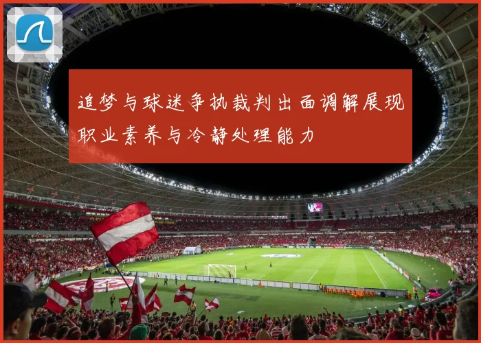 追梦与球迷争执裁判出面调解展现职业素养与冷静处理能力